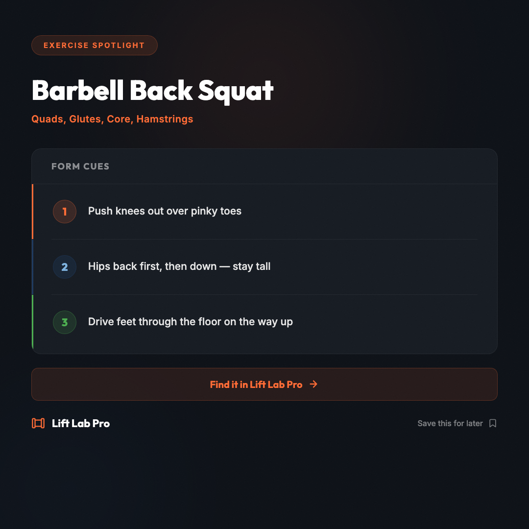 llp-2026-03-14-exercise-squat