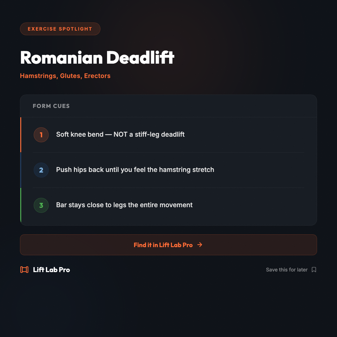 llp-2026-05-16-exercise-rdl