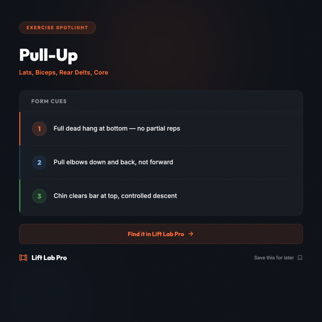 llp-2026-06-02-pull-up-king