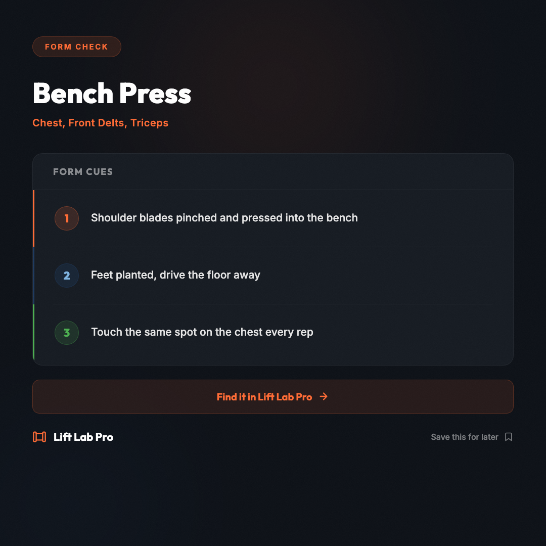 llp-2026-11-03-bench-press
